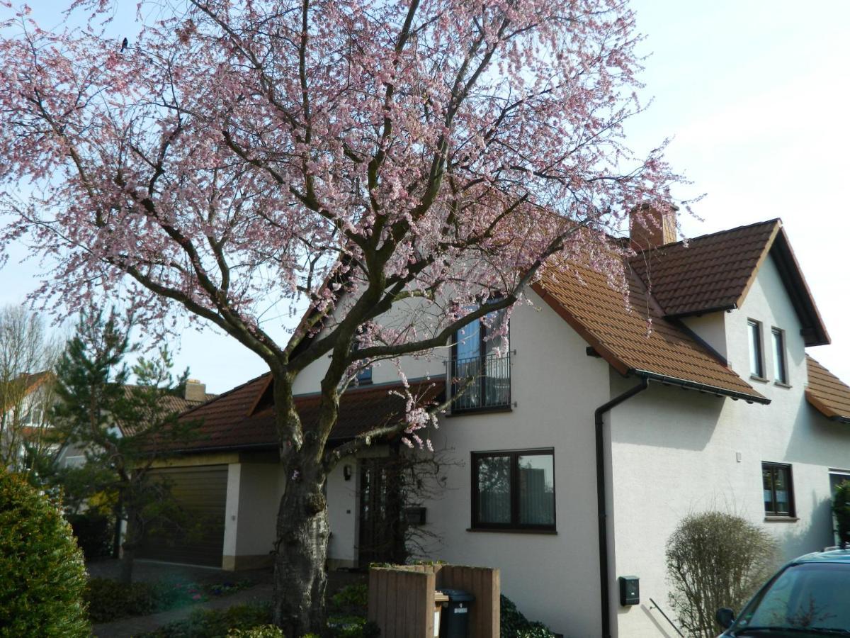 Ferienwohnung Kiko Zornheim エクステリア 写真